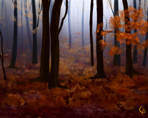 Autumn Woods